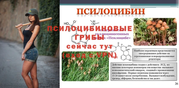 марки lsd Данков