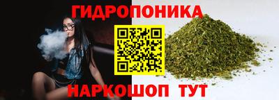 2c-b Краснознаменск
