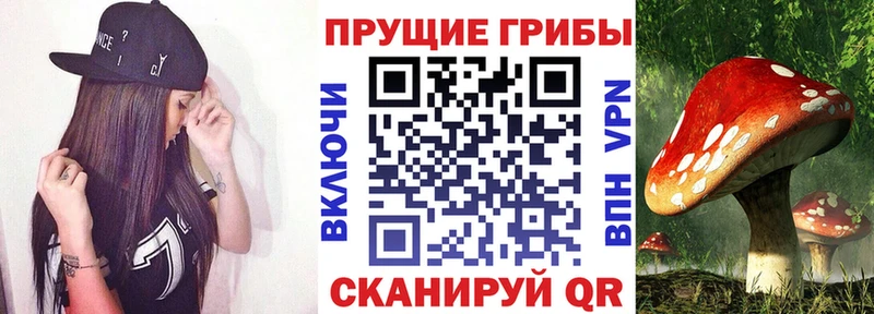 сколько стоит  ссылка на мегу ссылка  Галлюциногенные грибы мухоморы  Сухой Лог 