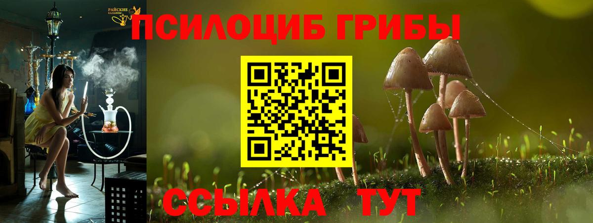 Галлюциногенные грибы Psilocybine cubensis  закладки  Сухой Лог  Вход с VPN 